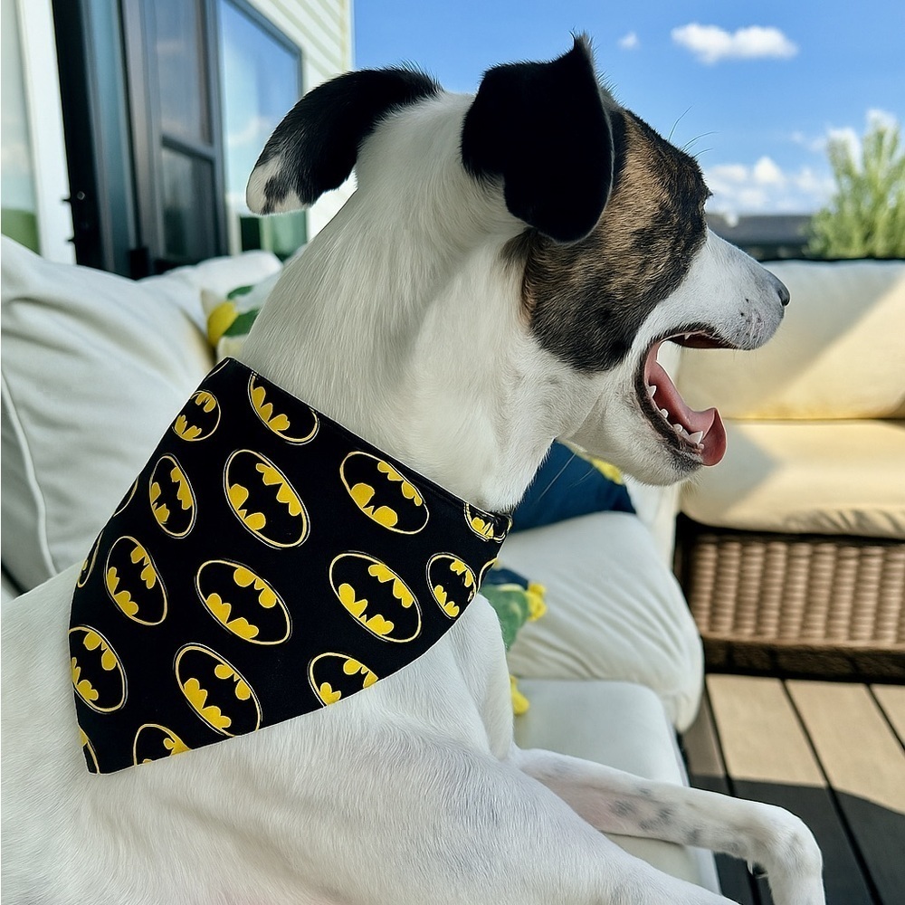 Handmade Reversible Batman Superhero Dog Bandana